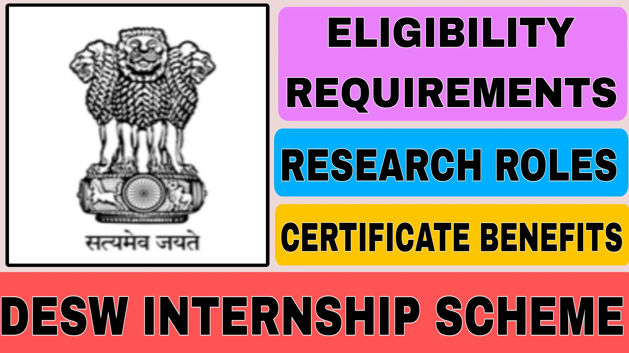 DESW Internship Scheme