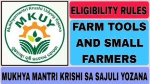 Mukhya Mantri Krishi Sa Sajuli Yozana